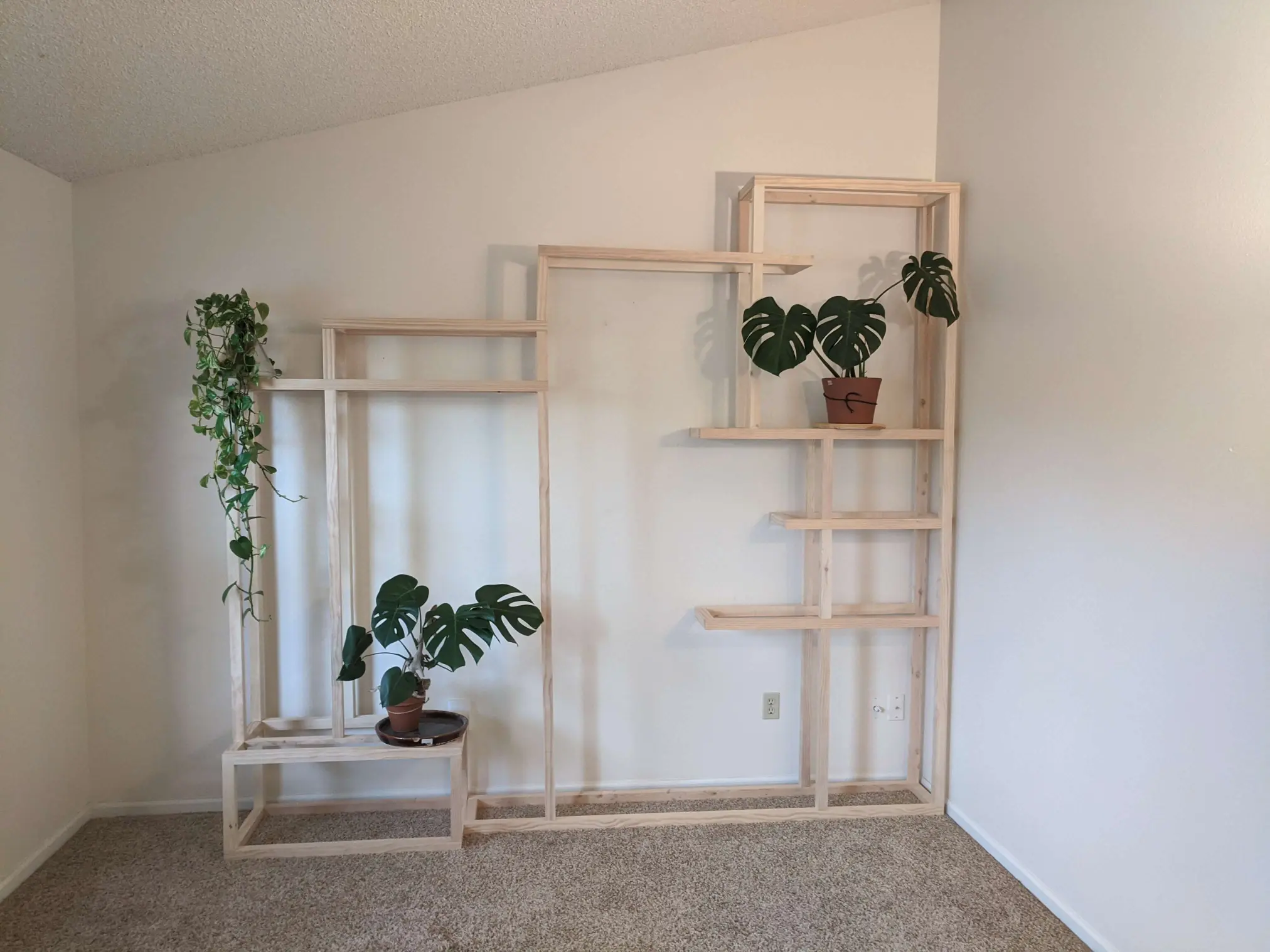 Full wall bookshelf