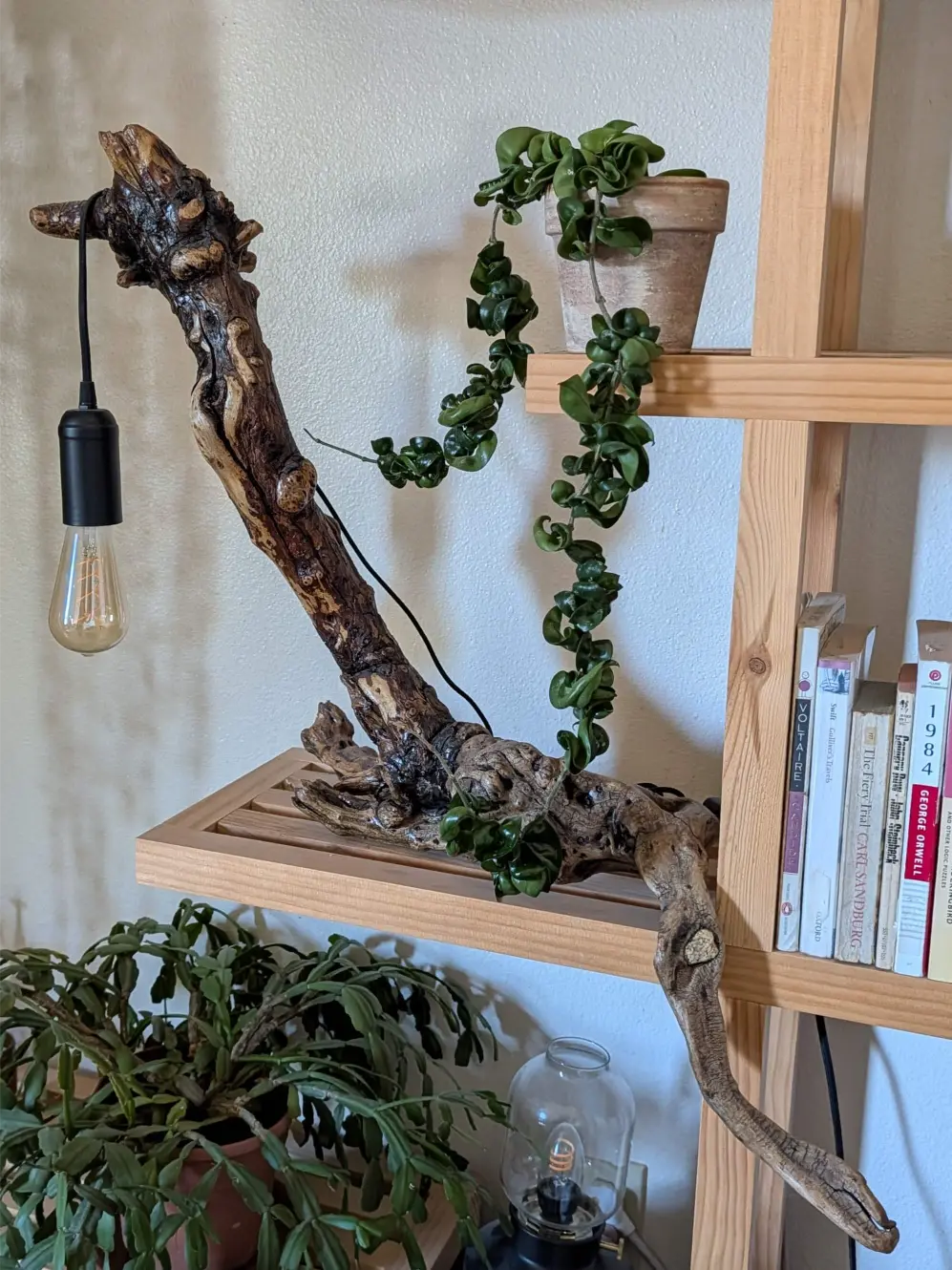 Custom driftwood lamp with Edison bulb