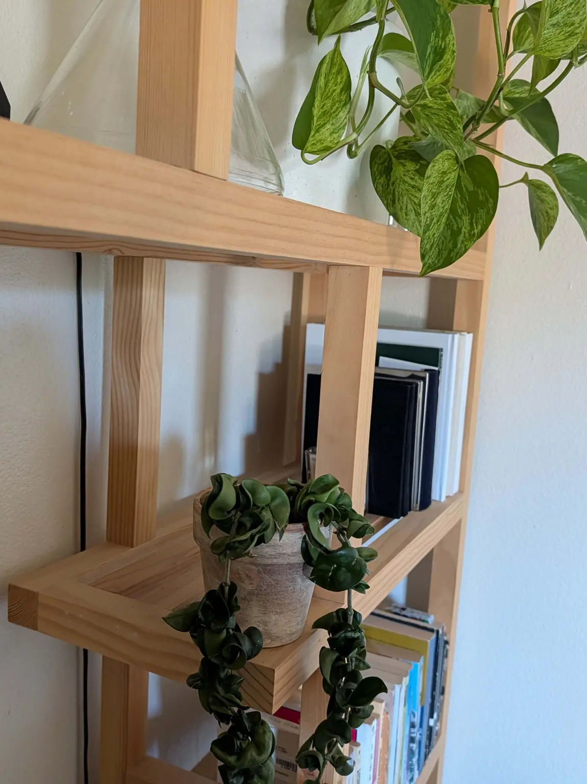 Custom built-in plant stand and bookshelf